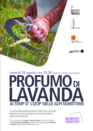La festa della Lavanda